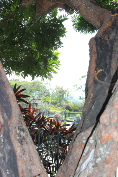 Tirtagangga Waterpaleis