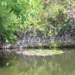Tirtagangga Waterpaleis