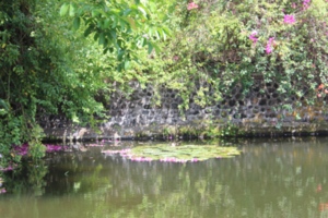 Tirtagangga Waterpaleis