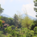 Tirtagangga Waterpaleis