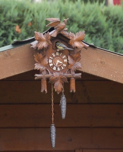 Koolmezen (5)