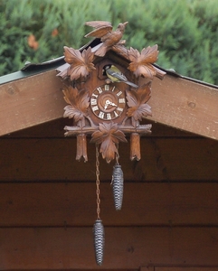 Koolmezen (6)
