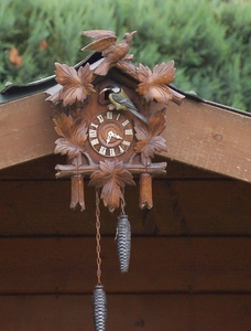 Koolmezen (7)
