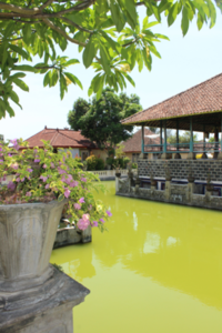 Puri Agung Karangasem