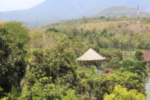 Ujung waterpaleis
