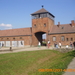 Birkenau