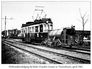 Gouden Leeuw Voorschoten 1961