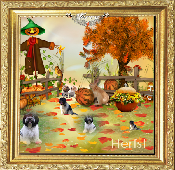 honden in de herfstxx