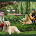 vader en zoon v terry