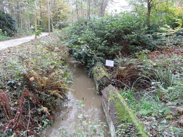 2014-11-04 JanMed Oostmalle (28)