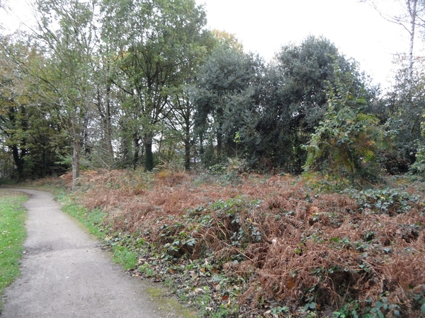 2014-11-04 JanMed Oostmalle (35)