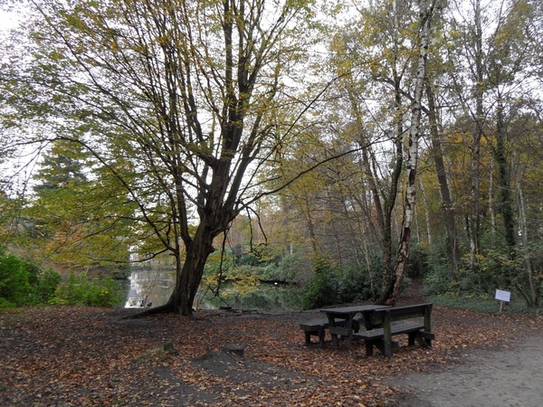 2014-11-04 JanMed Oostmalle (94)