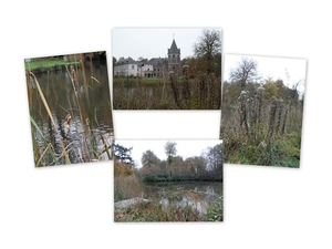 Kasteel De Renesse Oostmalle (10)