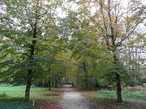 Kasteel De Renesse Oostmalle (13)