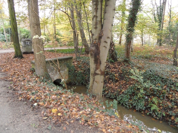 Kasteel De Renesse Oostmalle (18)