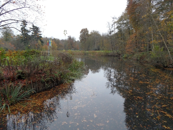 Kasteel De Renesse Oostmalle (31)