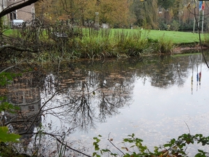 Kasteel De Renesse Oostmalle (35)