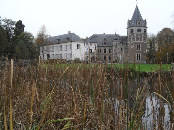 Kasteel De Renesse Oostmalle (45)