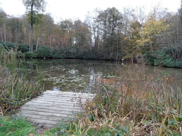 Kasteel De Renesse Oostmalle (51)