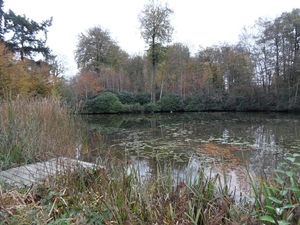 Kasteel De Renesse Oostmalle (52)