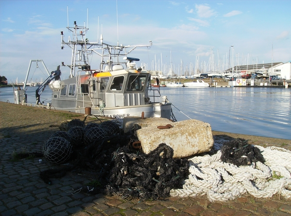 Koksijde November 2014 037