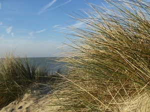 Koksijde November 2014 065
