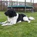 Floris 01