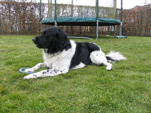 Floris 01