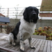 Floris 03