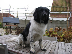 Floris 03