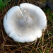 P1010250