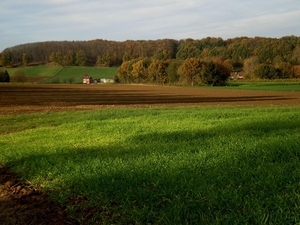 we moeten ons spoeden