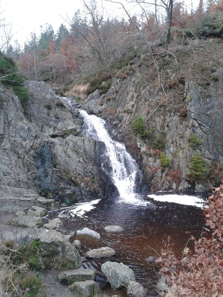 P1050035_20141112_153212