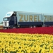 SCANIA-ZUREL