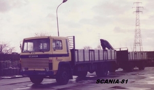 SCANIA-81