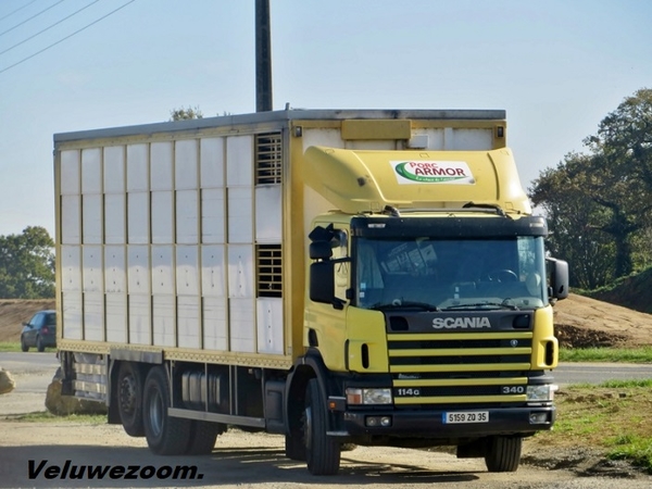 SCANIA-114G