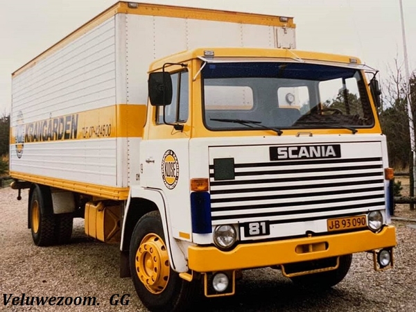 SCANIA-81.