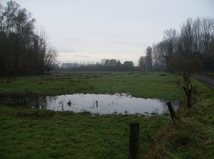 Bottelare November 2014 001