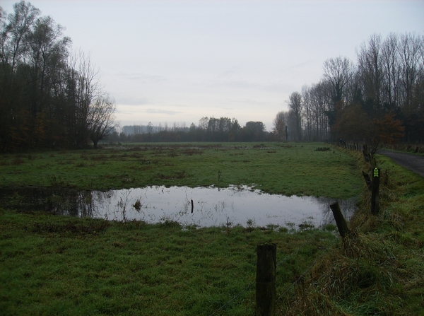 Bottelare November 2014 001