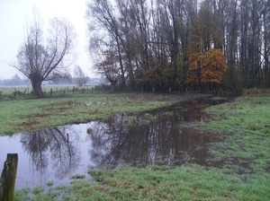 Bottelare November 2014 003