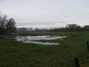 Bottelare November 2014 004