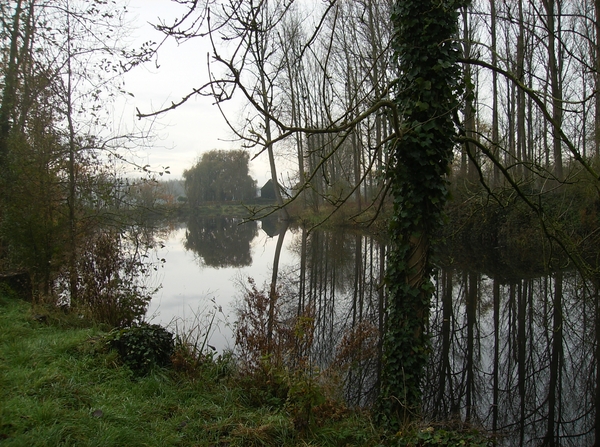 Bottelare November 2014 005