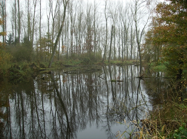 Bottelare November 2014 006