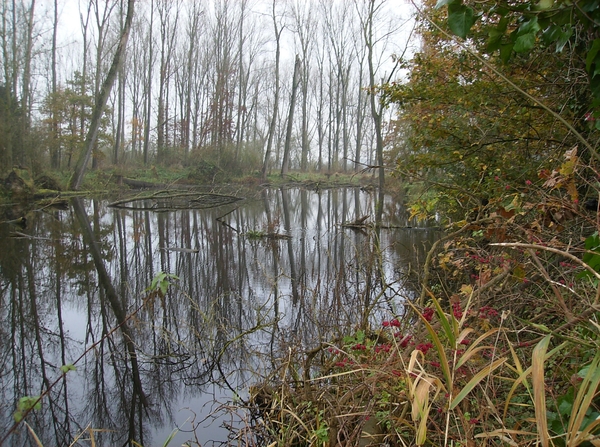 Bottelare November 2014 007