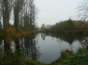 Bottelare November 2014 009