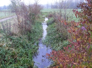 Bottelare November 2014 015