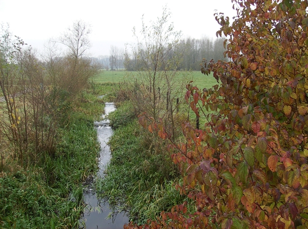 Bottelare November 2014 016