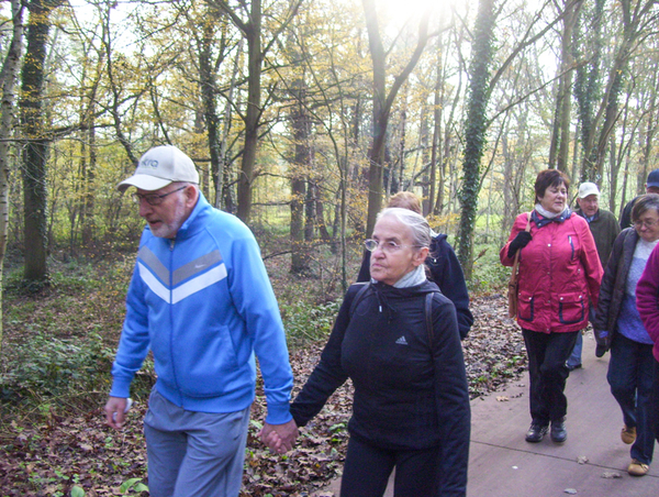 Wandeling naar de Vestinglaan - 20 november 2014