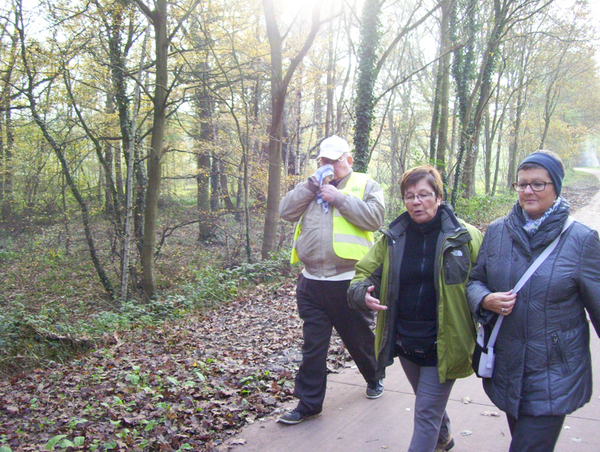 Wandeling naar de Vestinglaan - 20 november 2014