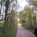 Wandeling naar de Vestinglaan - 20 november 2014